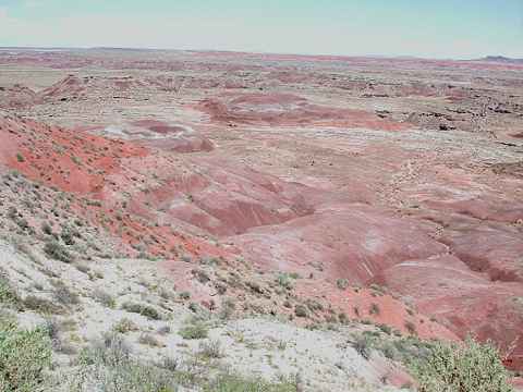 of Arizona with Earle Robinson as he searches for Arizona Wild Life