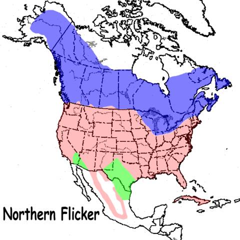 Flicker map