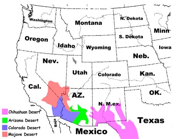 chihuahuan desert map